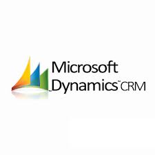 MS Dynamics CRM Services