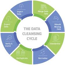 Data Cleansing Cycle