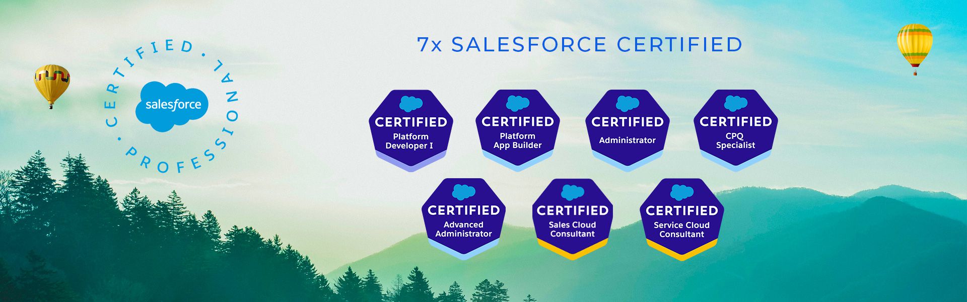 Salesforce Certified Developer
